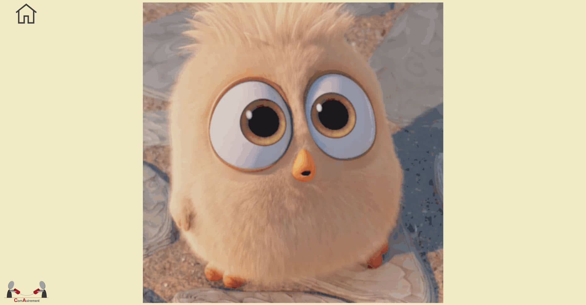 Gifs animés