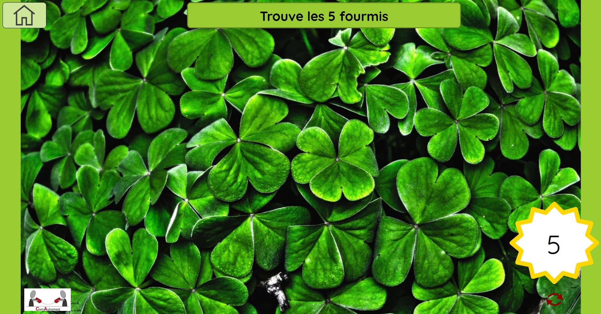 COMPTEUR fourmis